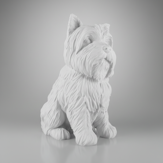 Yorkshire Terrier 3D - Vista lateral